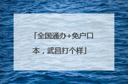 全国通办+免户口本，武昌打个样